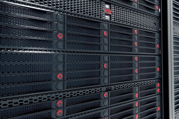 Market Demand And Future Development Trends Of Vietnam And Hong Kong Native Ip